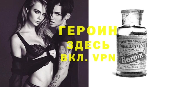 сатива Арсеньев